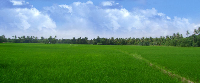 Kuttanad