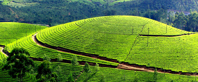 Munnar
