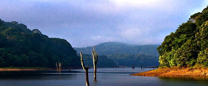 Thekkady